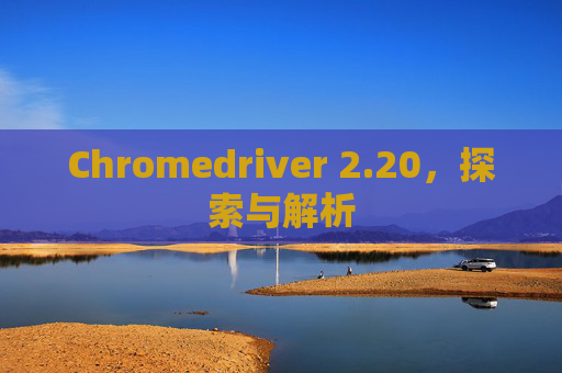 Chromedriver 2.20，探索与解析